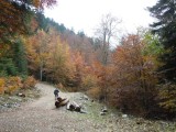 02. Bitoraj
